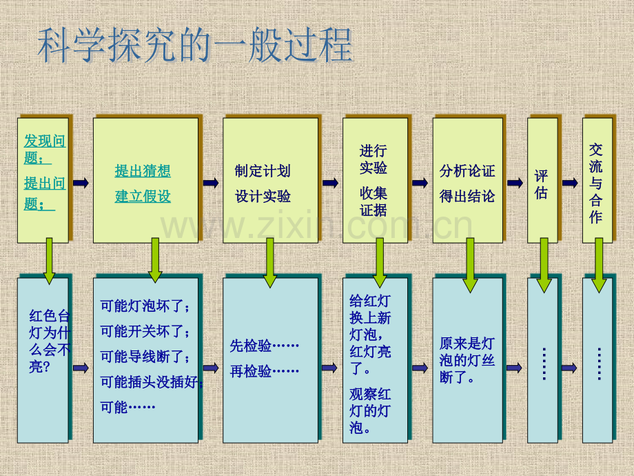 七年级科学科学探究11.pptx_第3页