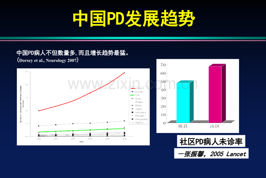 PD的诊断及治疗.pptx_第2页