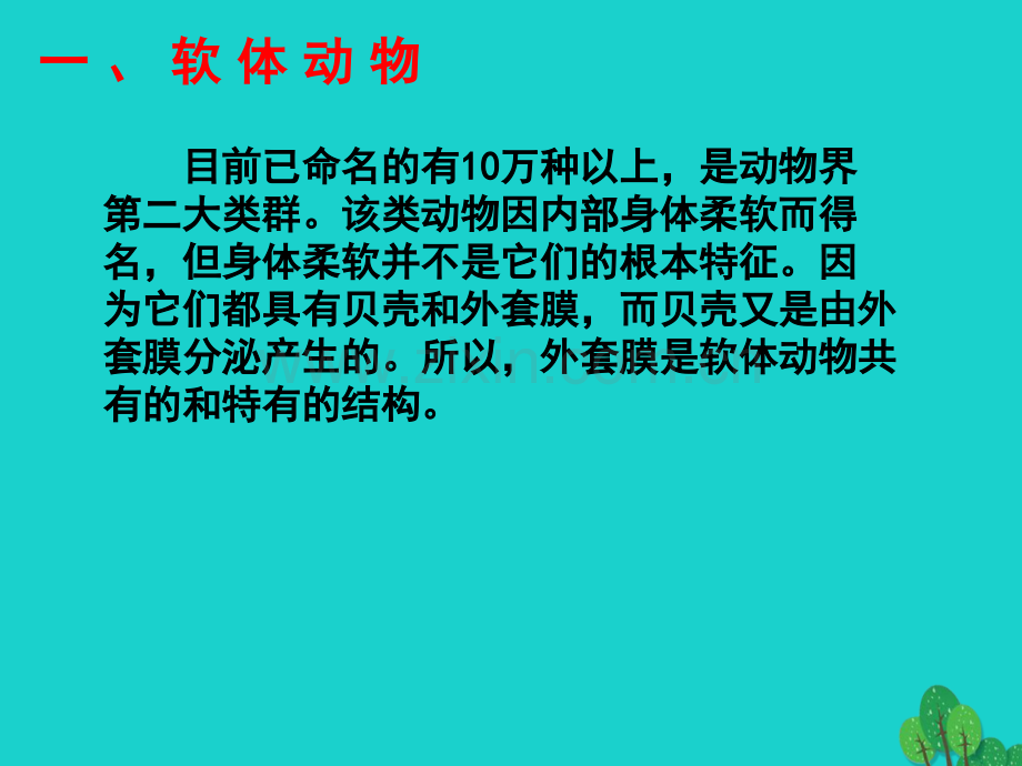 八年级生物上册513软体和节肢动物2新版新人教版.pptx_第2页