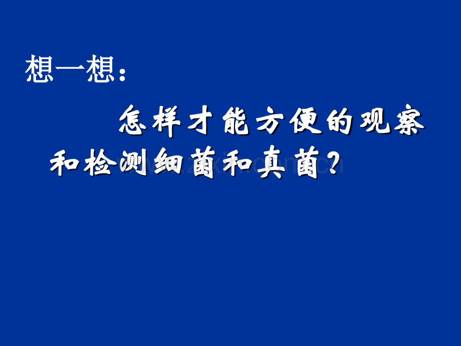 人教版生物八年级上册541细菌和真菌的分布共55张.pptx_第1页