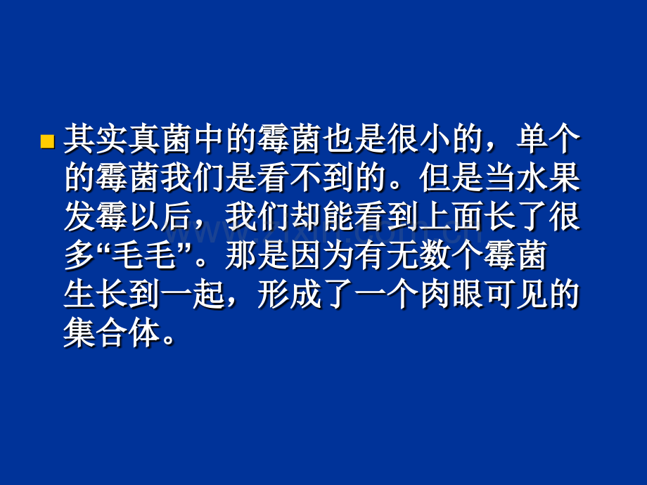 人教版生物八年级上册541细菌和真菌的分布共55张.pptx_第2页