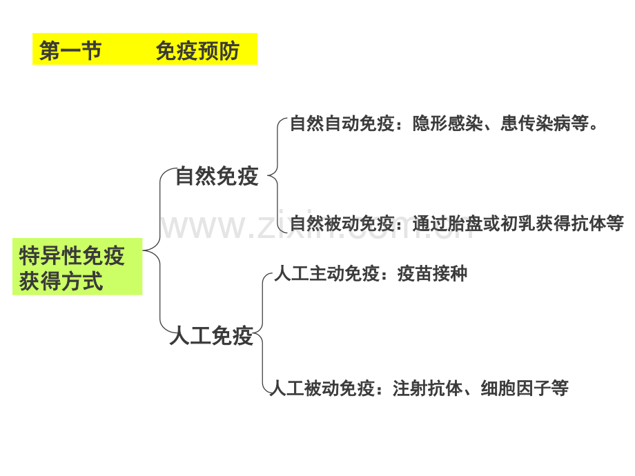 免疫学预防.pptx_第2页