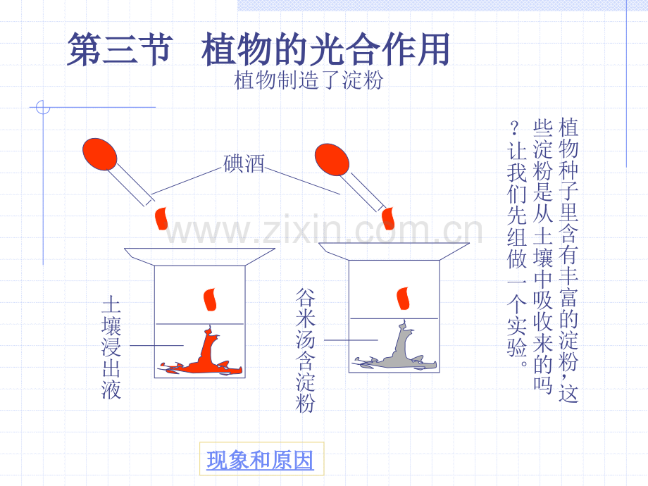 光合作用复习课.pptx_第3页