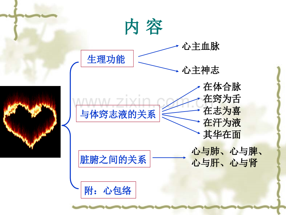 中医五脏心.pptx_第2页