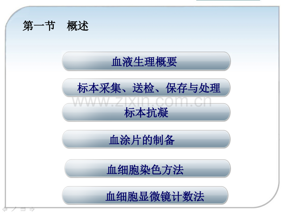 临检血液概述采血抗凝剂.pptx_第3页