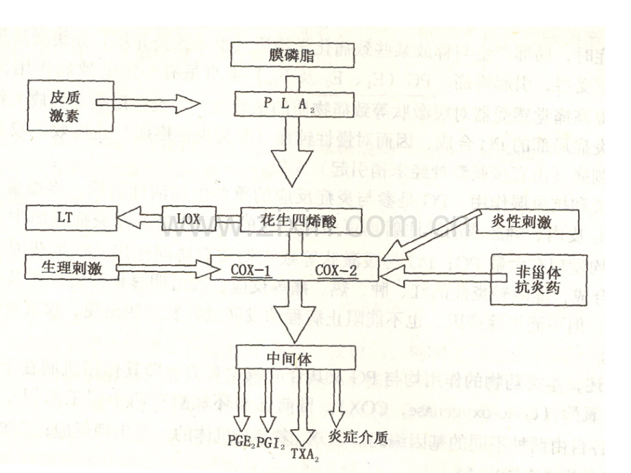 以非甾体抗炎药示例.pptx_第3页