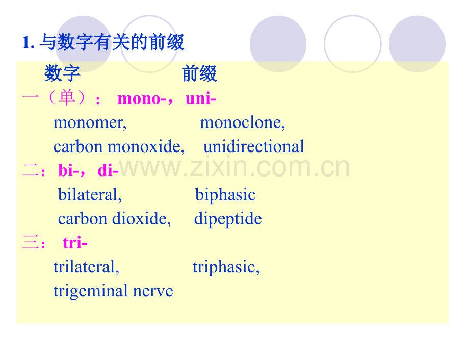 专业英语词根和前后缀.pptx_第2页