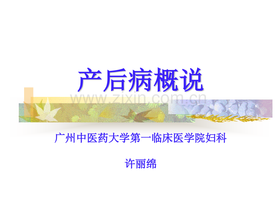 产后病概述.pptx_第1页