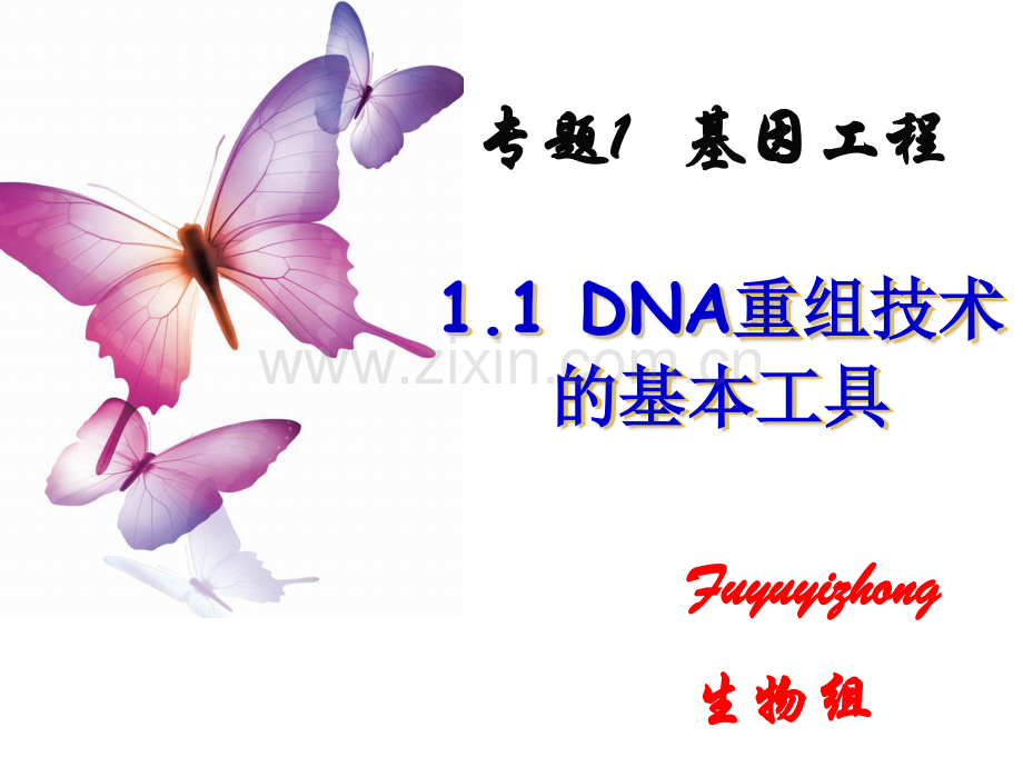 人教版名校联盟吉林省扶余一中高二生物11DNA重组技术基本工具.pptx_第1页