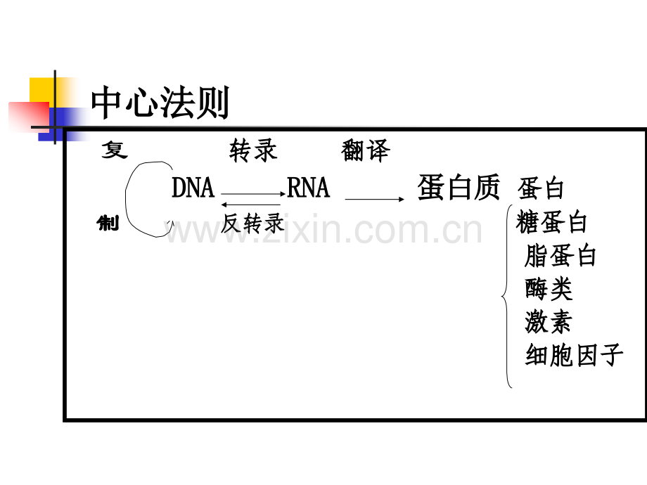 临检培训基因扩增技术在遗传病基因诊断中的应用临检培训班.pptx_第3页