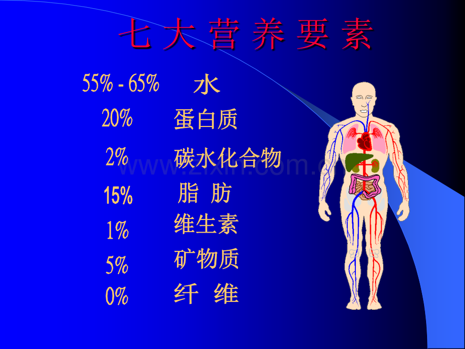 七大营养要素.pptx_第2页