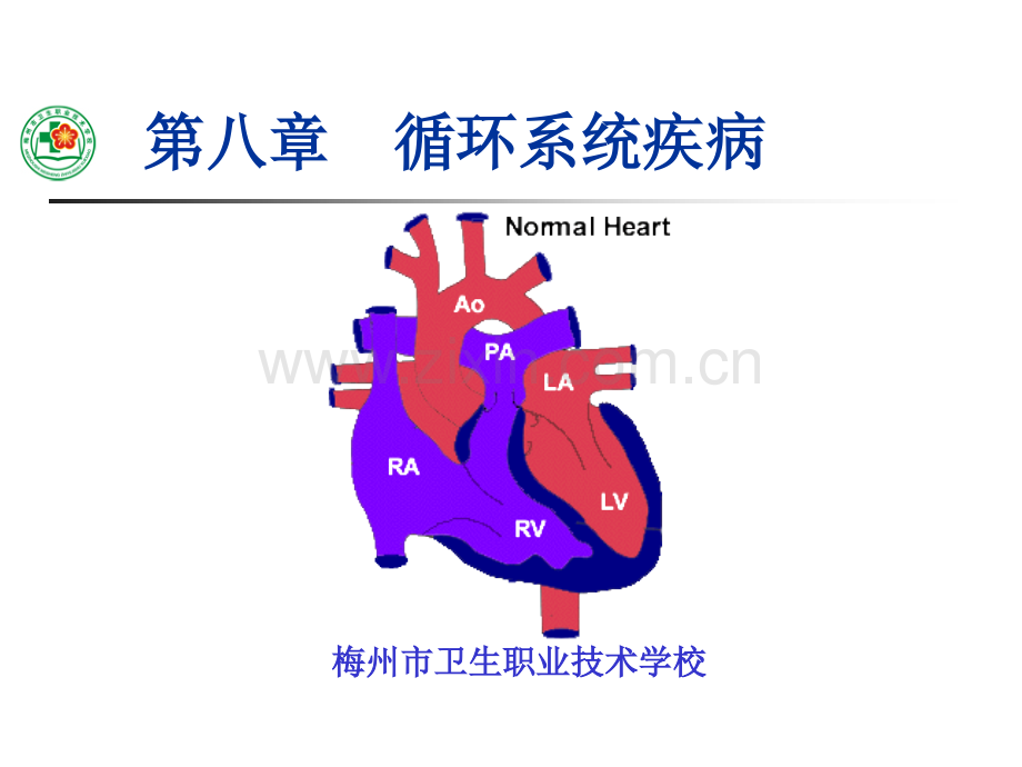 儿科学循环系统疾病讲诉.pptx_第1页