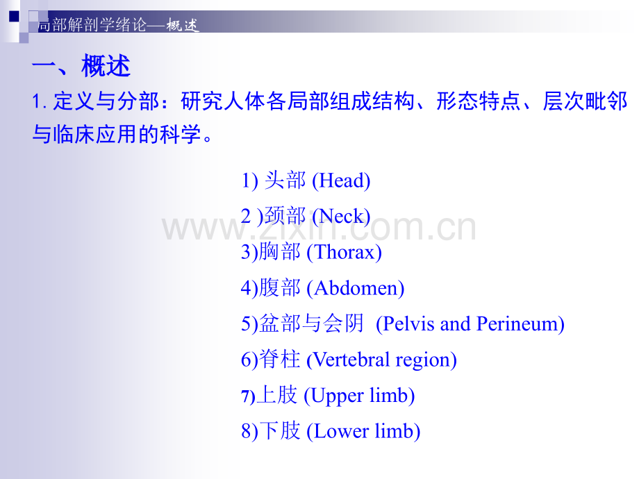 人体结构头部.pptx_第2页