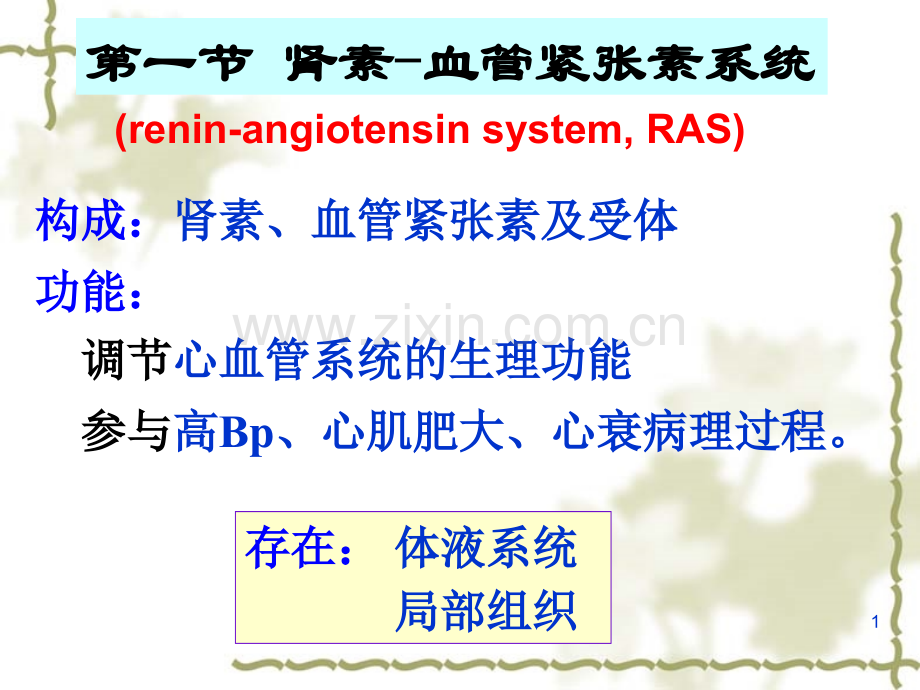 作用于RAS的药物.pptx_第1页