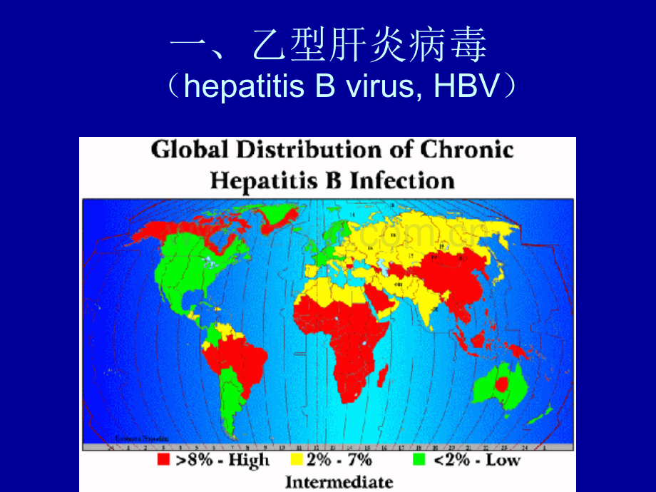 HBVX蛋白与原发性肝癌.pptx_第2页