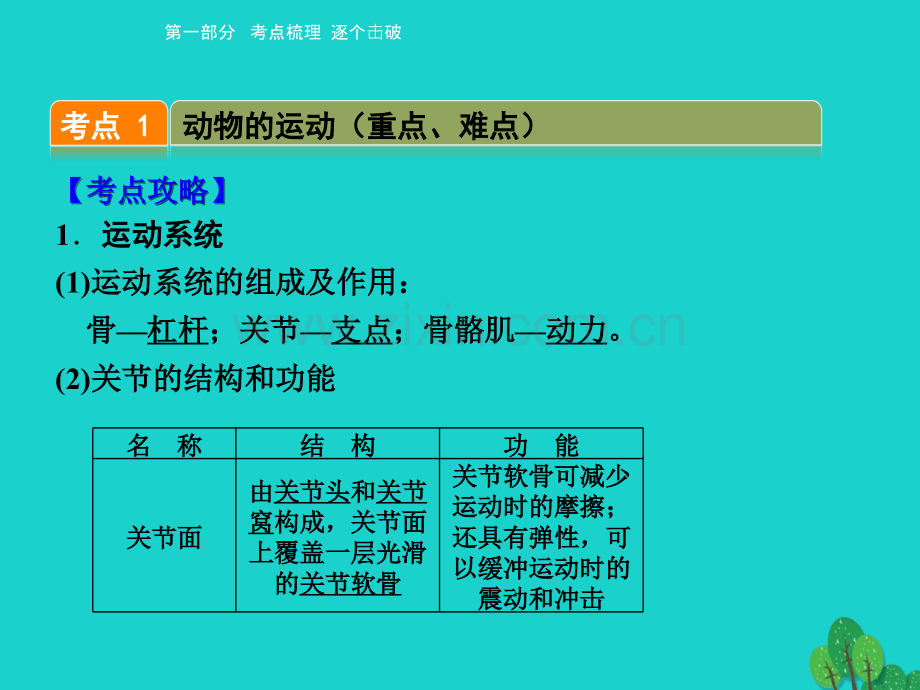 中考生物-考点梳理---动物的运动和行为-新人教版.pptx_第3页