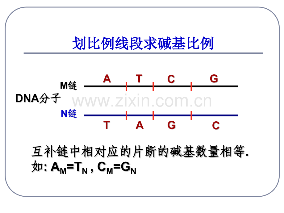 DNA分子的结构和复制习题.pptx_第3页