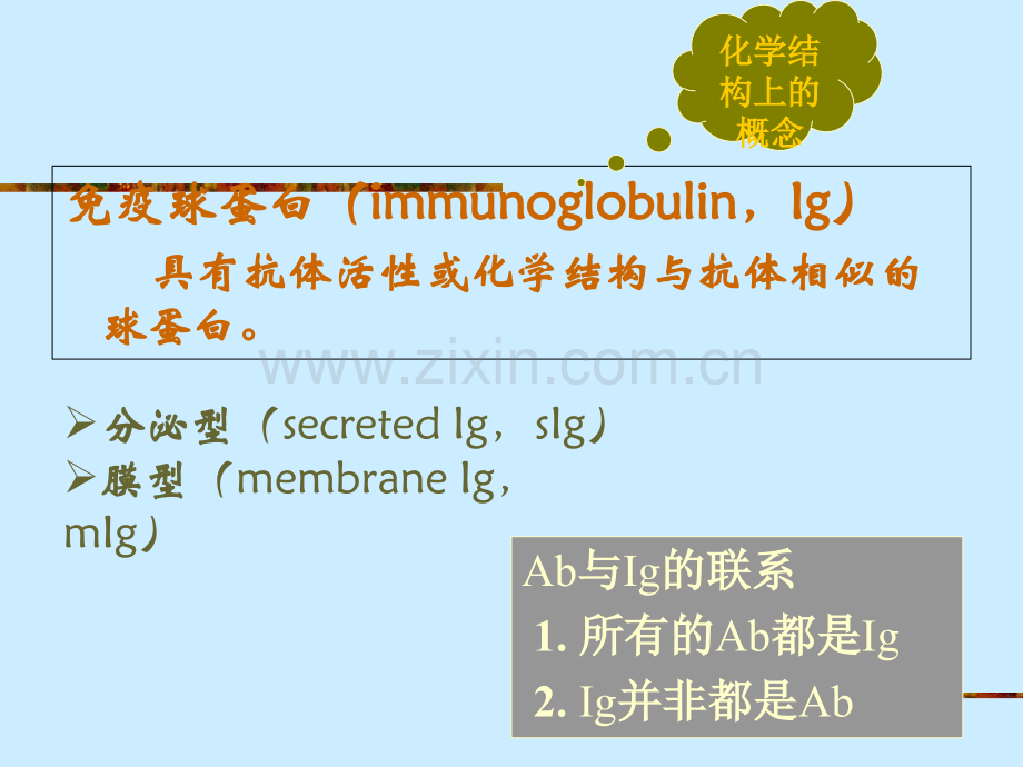 4--免疫球蛋白.pptx_第3页