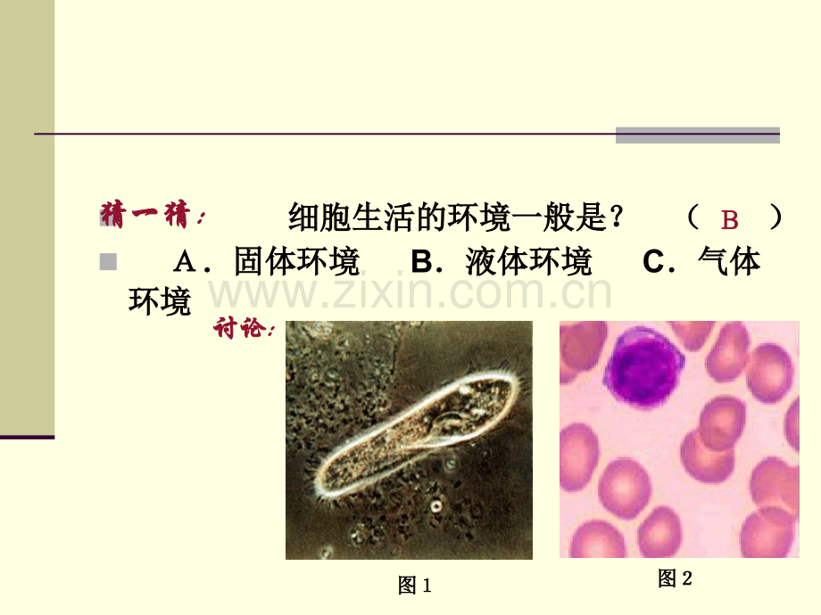 人体内环境的自稳态.pptx_第2页