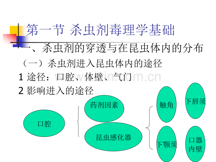 41杀虫剂作用机理.pptx_第2页