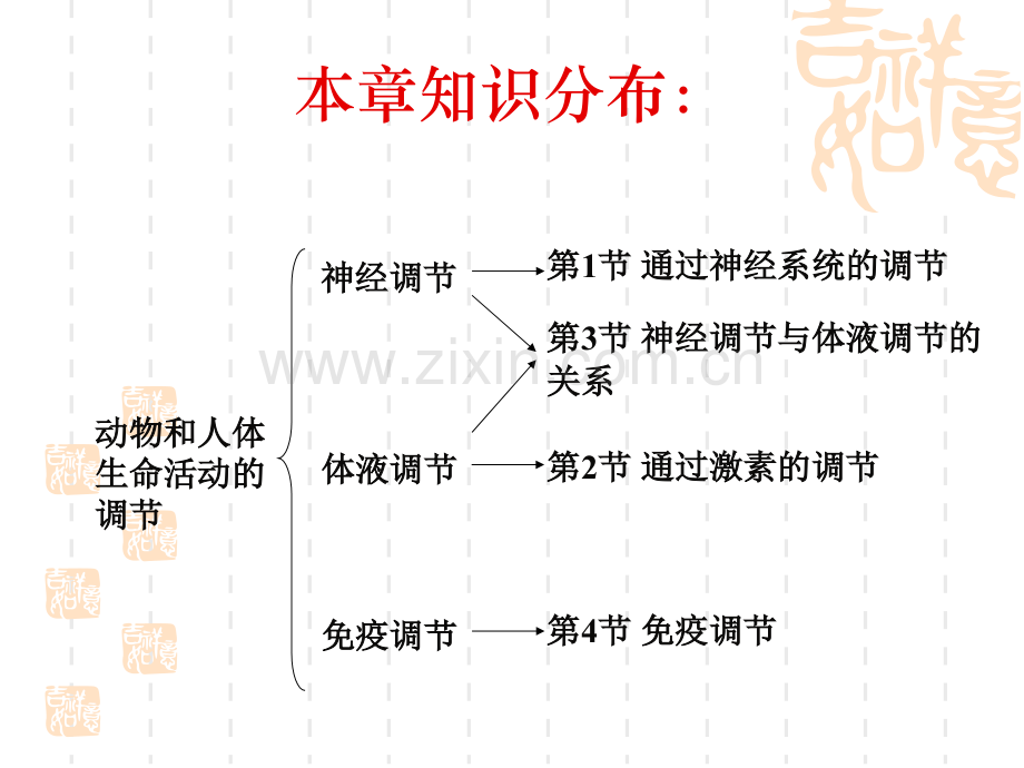 人教版教学课件神经调节.pptx_第2页