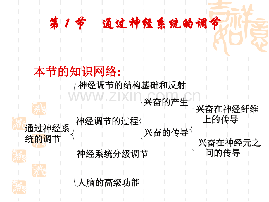 人教版教学课件神经调节.pptx_第3页