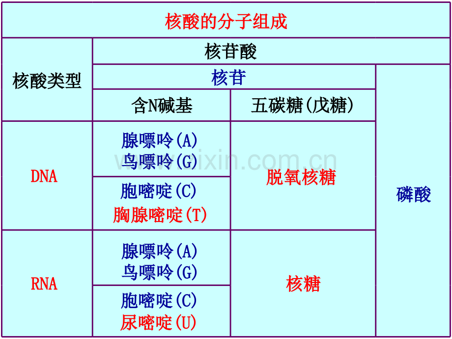 人教版教学浙江省温州市龙湾中学高中生物必修二DNA的分子结构和特点.pptx_第1页