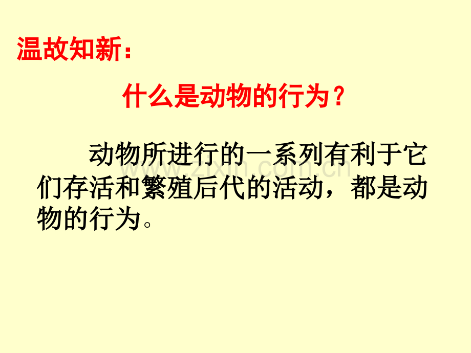 先天性行为和学习行为PPT课件.pptx_第2页