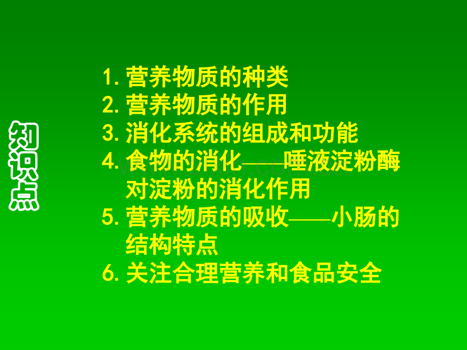 人体的营养复习.pptx_第2页