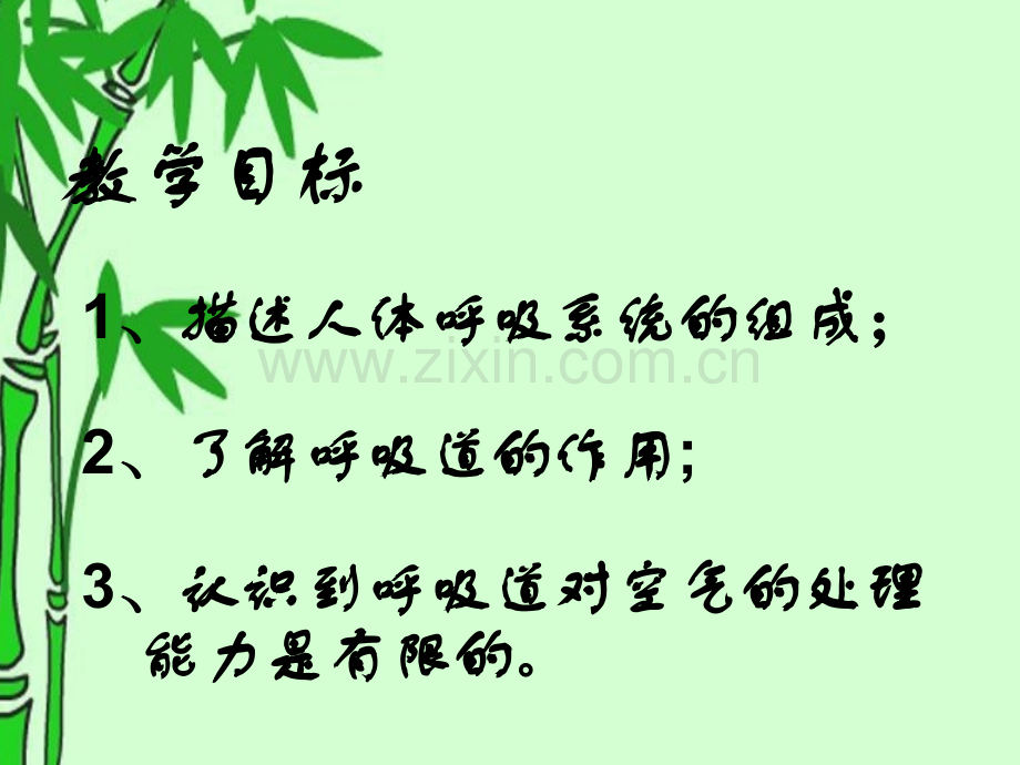 七年级生物下册-呼吸道对空气的处理人教.pptx_第2页