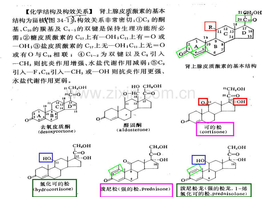 67拟抗副交感神经药.pptx_第3页