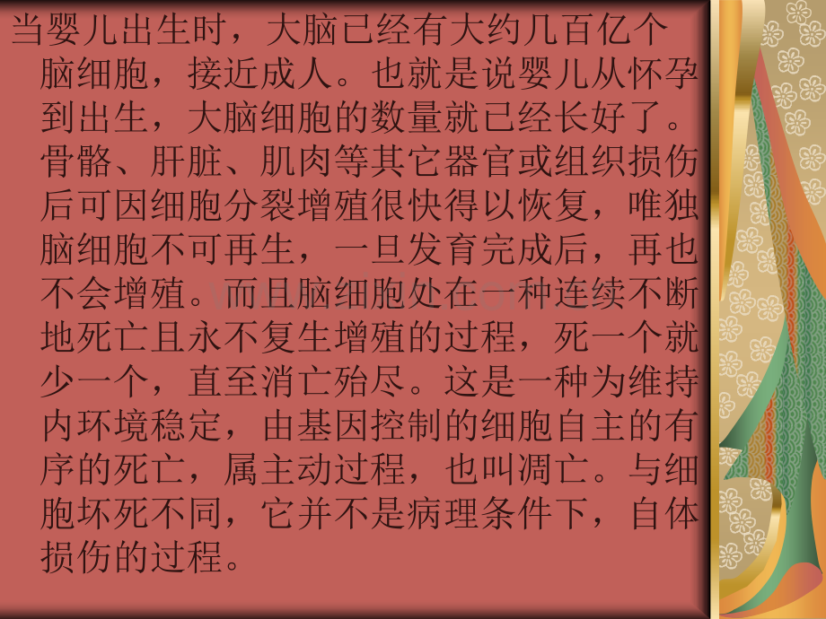 儿童神经发育性疾病的诊治.pptx_第2页