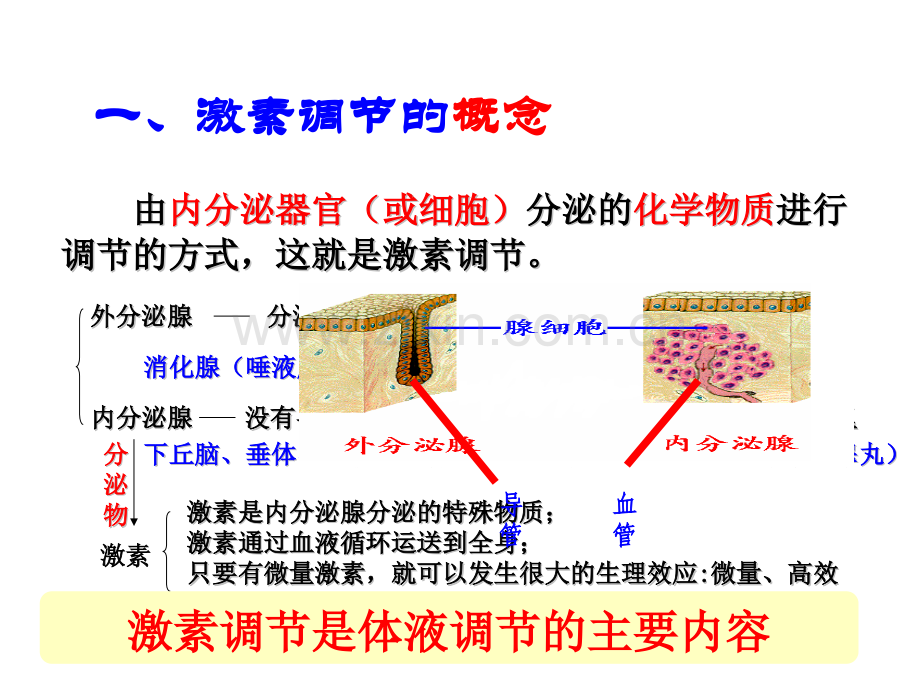 22通过激素调节课件.pptx_第3页