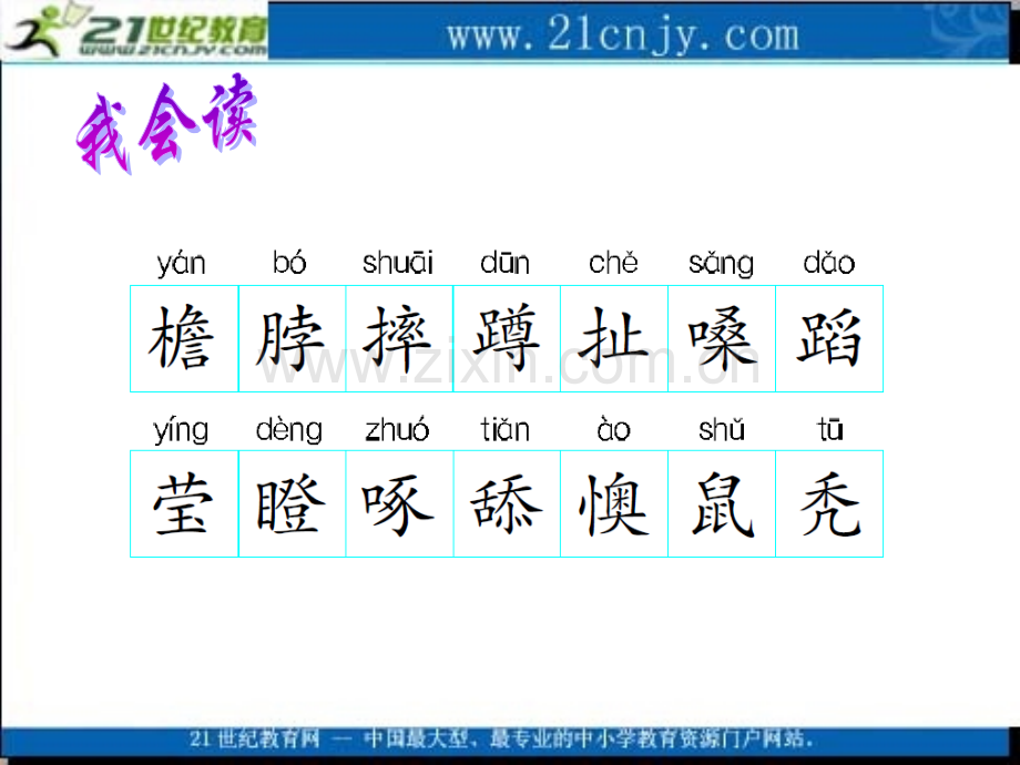 五年级语文上册小麻雀.pptx_第3页