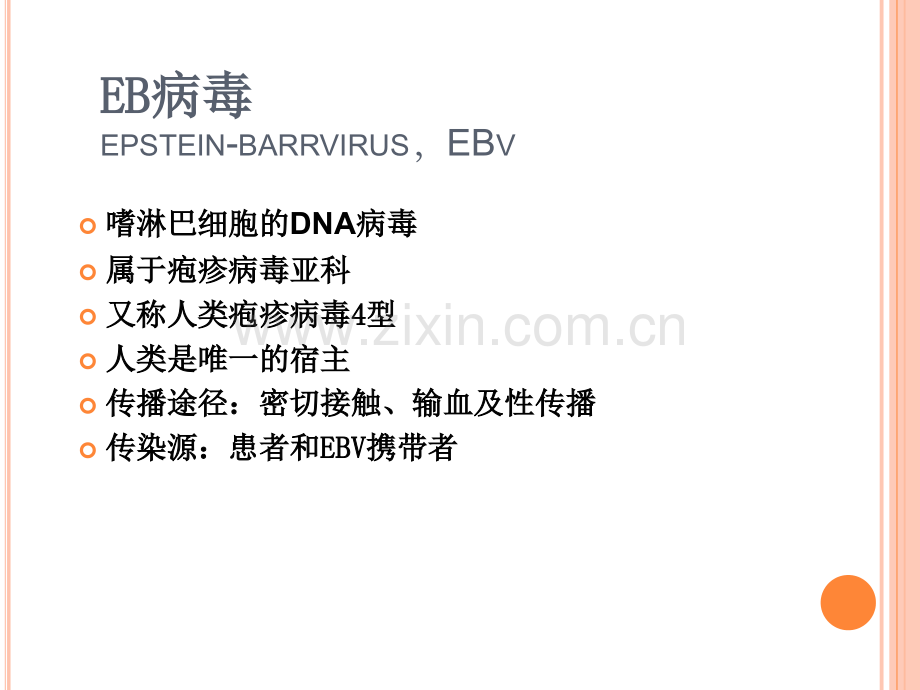 EB病毒感染与传染性单核细胞增多症.pptx_第2页