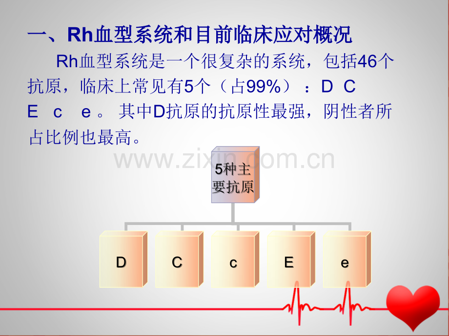 Rh血型科学输血.pptx_第2页