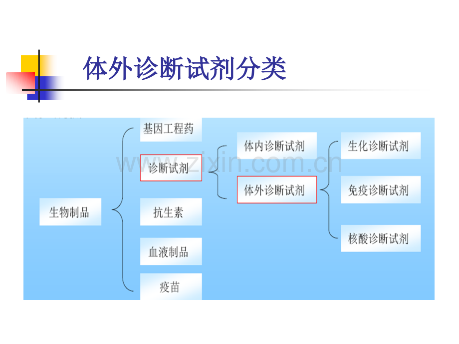 体外诊断试剂分析和研发.pptx_第3页