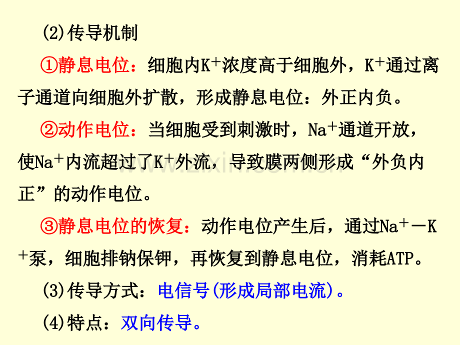 二轮专题四人和动物生命活动的调节.pptx_第3页