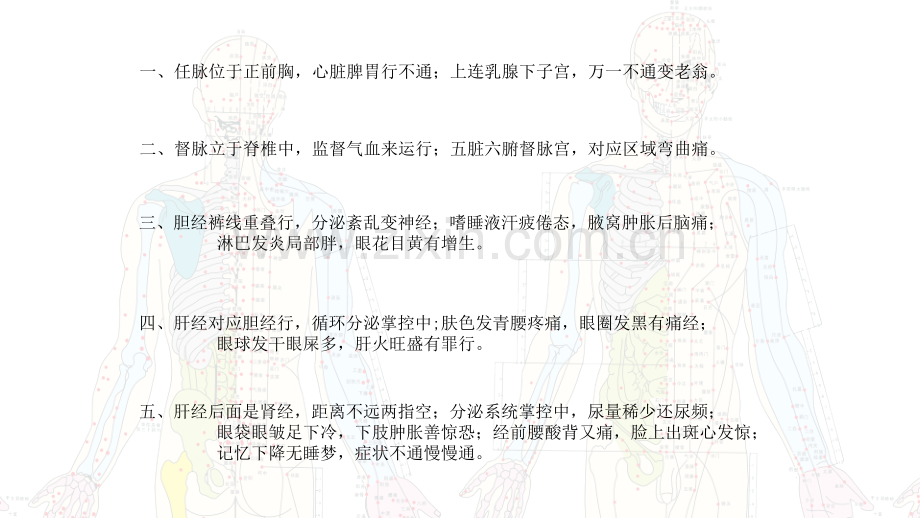 全身经络口诀十二经络图.pptx_第2页