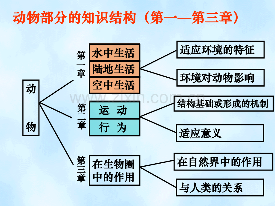 义务教育课程标准实验教科书.pptx_第3页