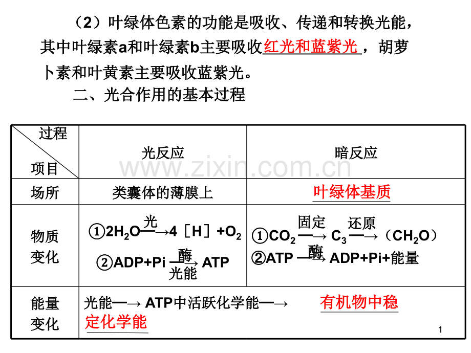 光合作用和细胞有氧呼吸以及无氧呼吸.pptx_第1页