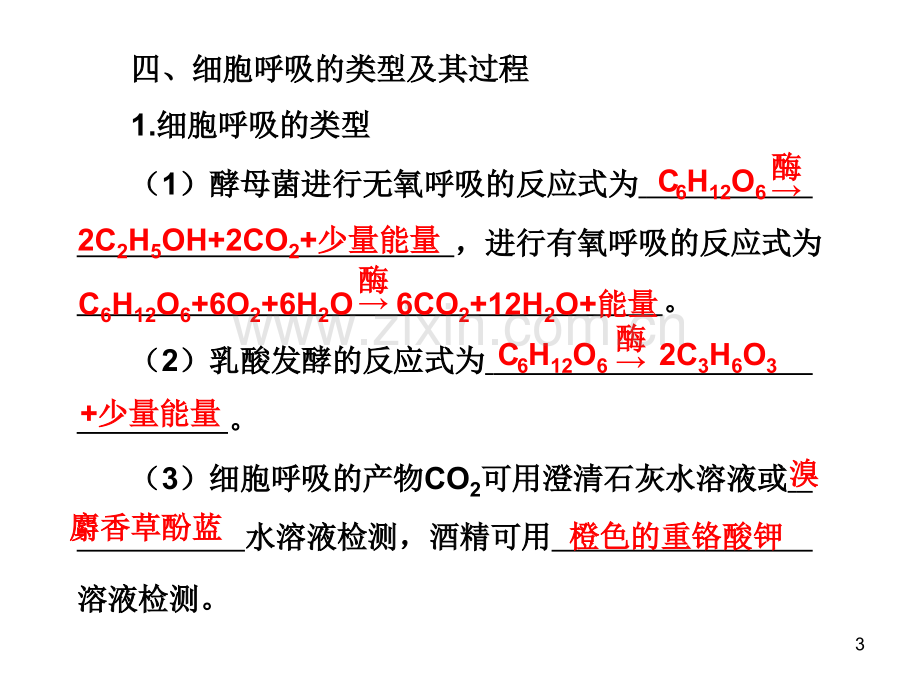 光合作用和细胞有氧呼吸以及无氧呼吸.pptx_第3页