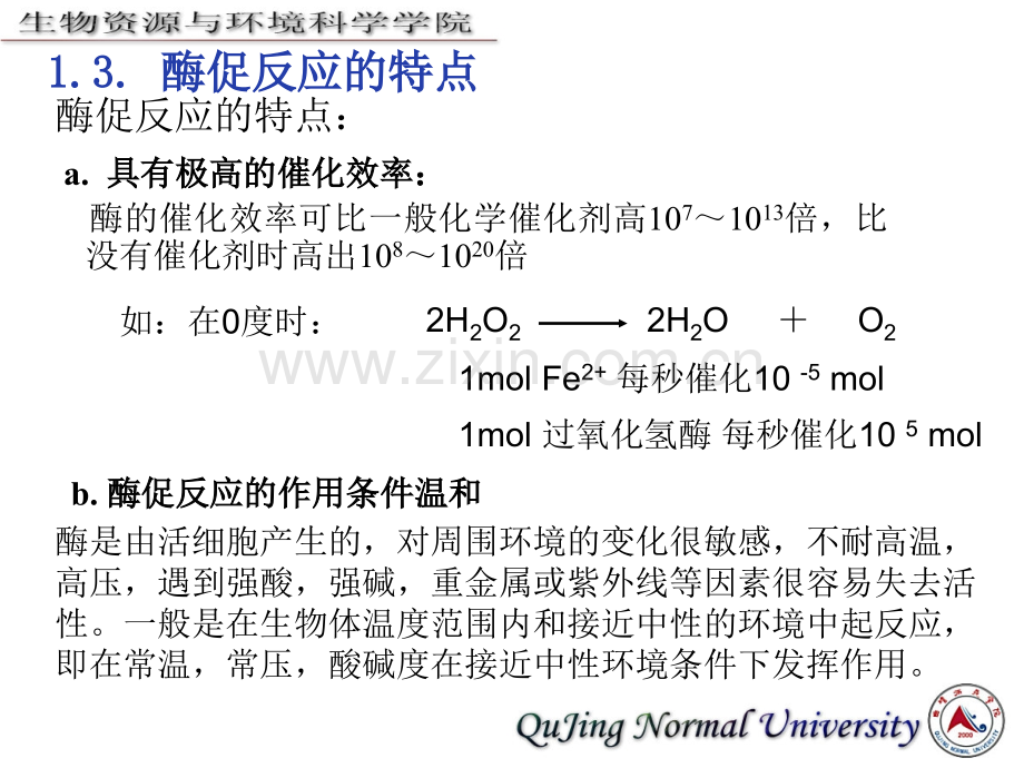 七酶化学.pptx_第2页