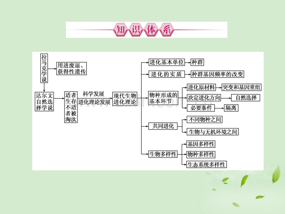 优化指导高中生物回顾总结同步备课新人教版必修.pptx_第1页