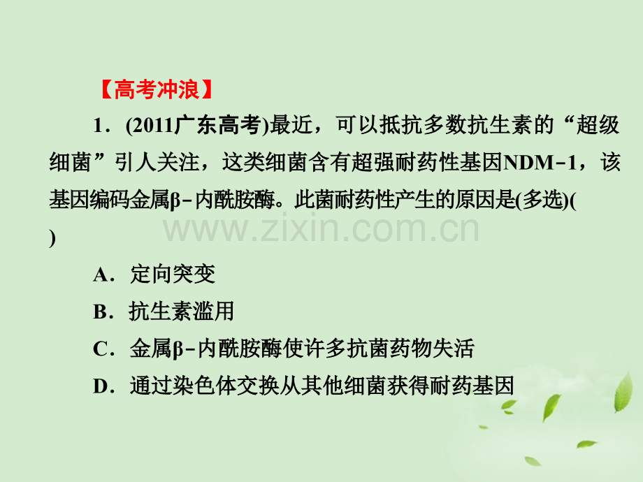 优化指导高中生物回顾总结同步备课新人教版必修.pptx_第3页