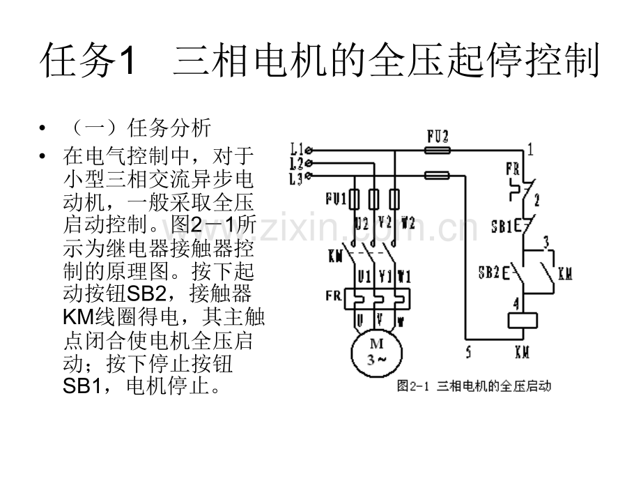 PLC编程元件.pptx_第2页