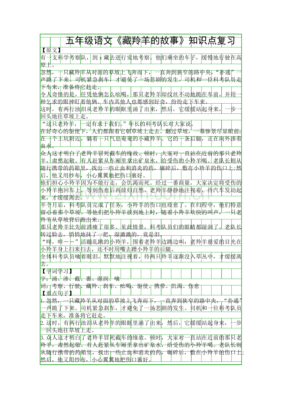 五年级语文藏羚羊的故事知识点复习.docx_第1页