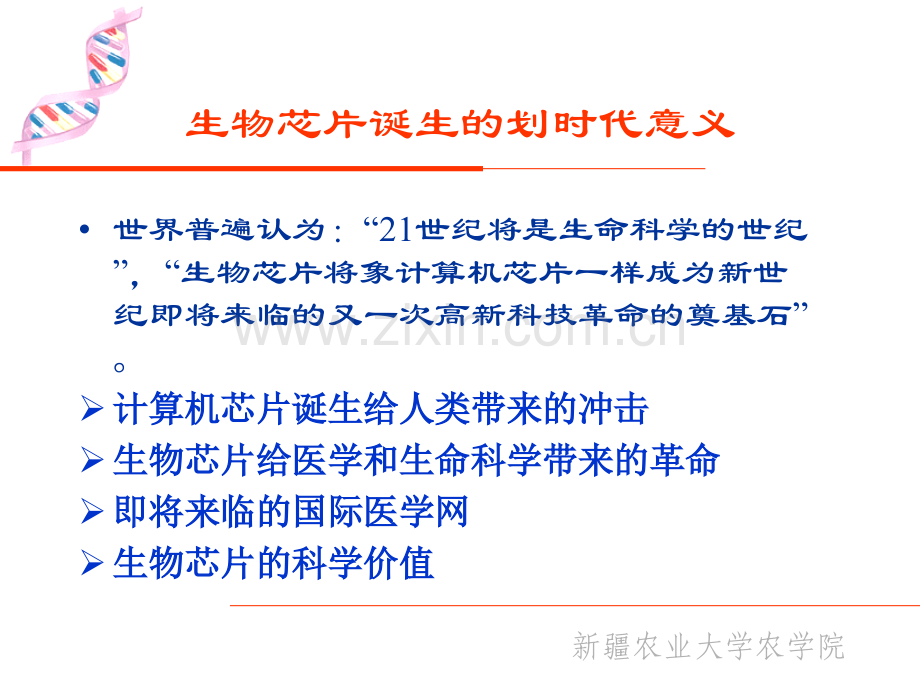 分子标记及生物芯片技术与应用续.pptx_第3页