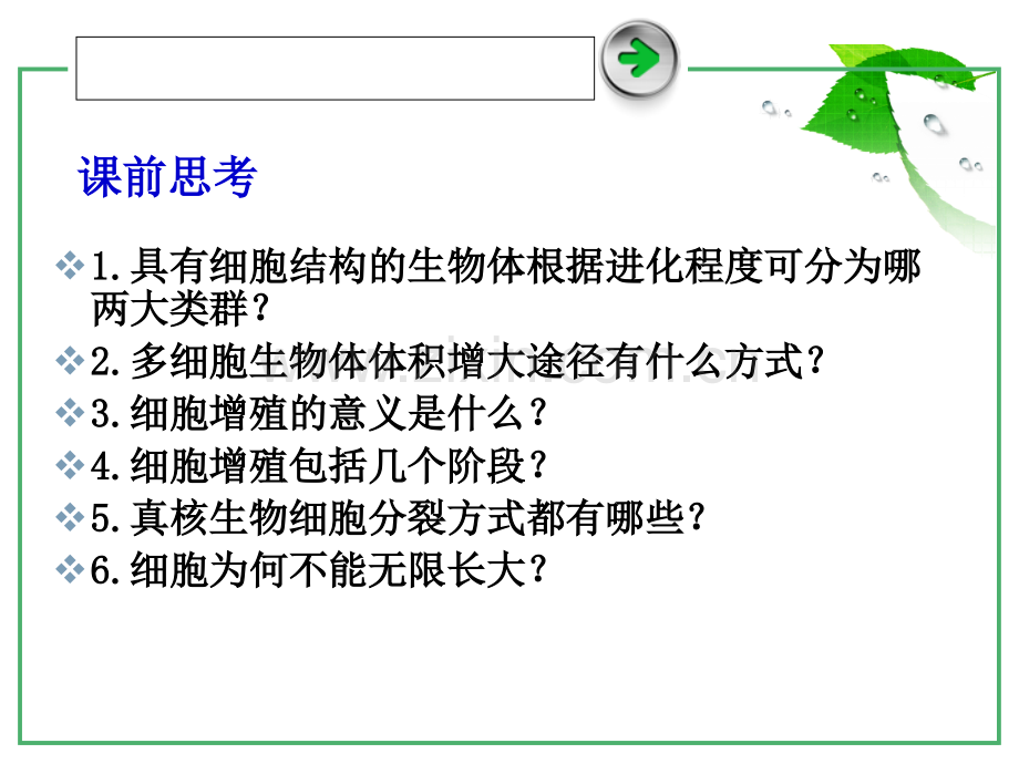 6.1细胞的增殖.pptx_第2页