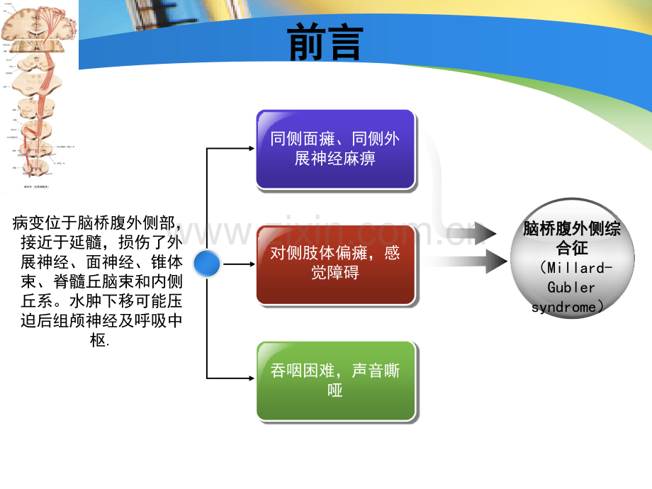 个案护理汇报范例-PPT课件.pptx_第2页